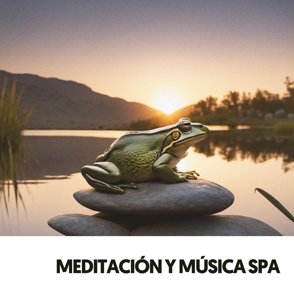 Picture of Sanación Espiritual: Serenidad Acuática