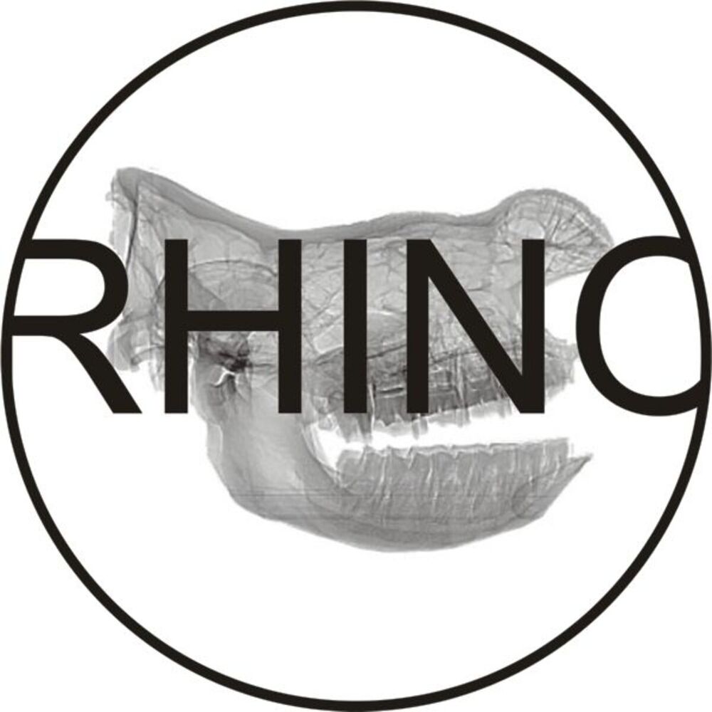 Picture of Rhinoceros