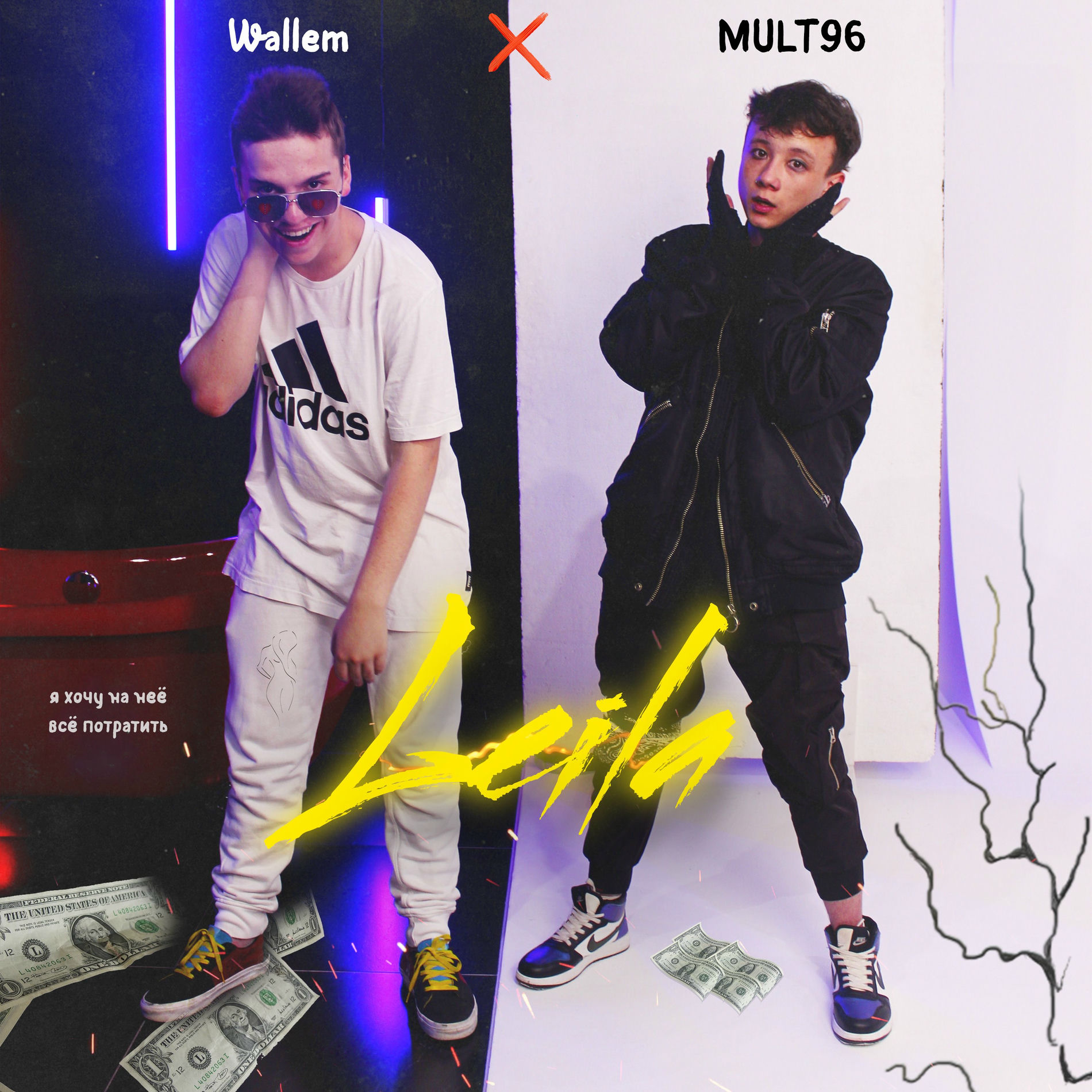 Album cover of Leila