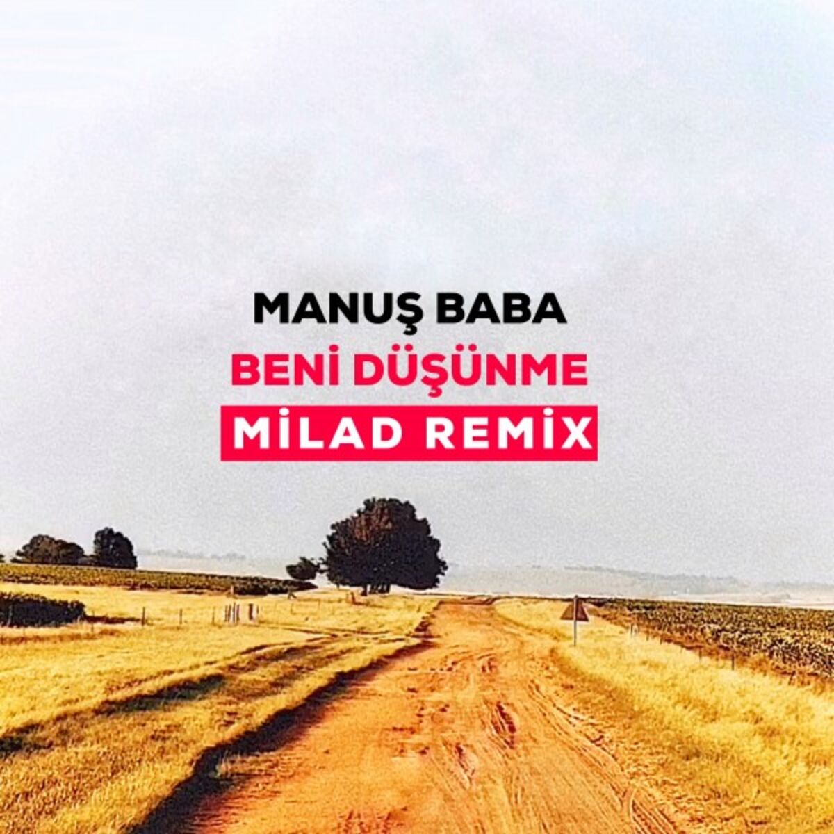 Album cover of Beni Düşünme