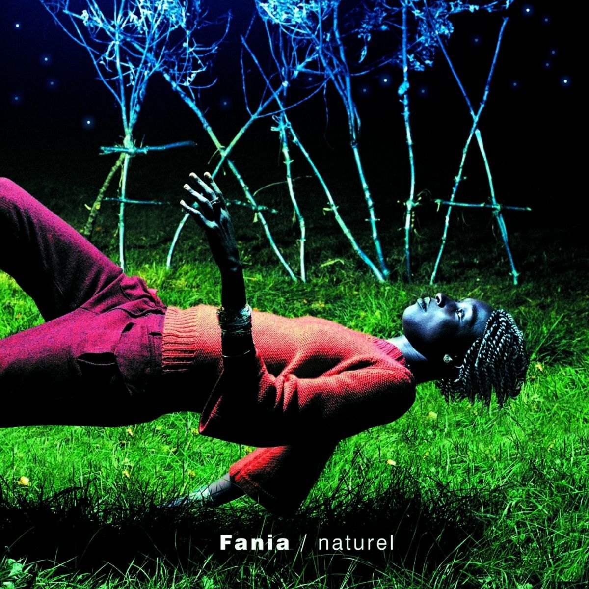 Album cover of Naturel