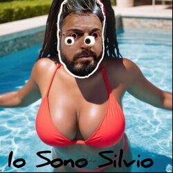 Cover of Io Sono Silvio