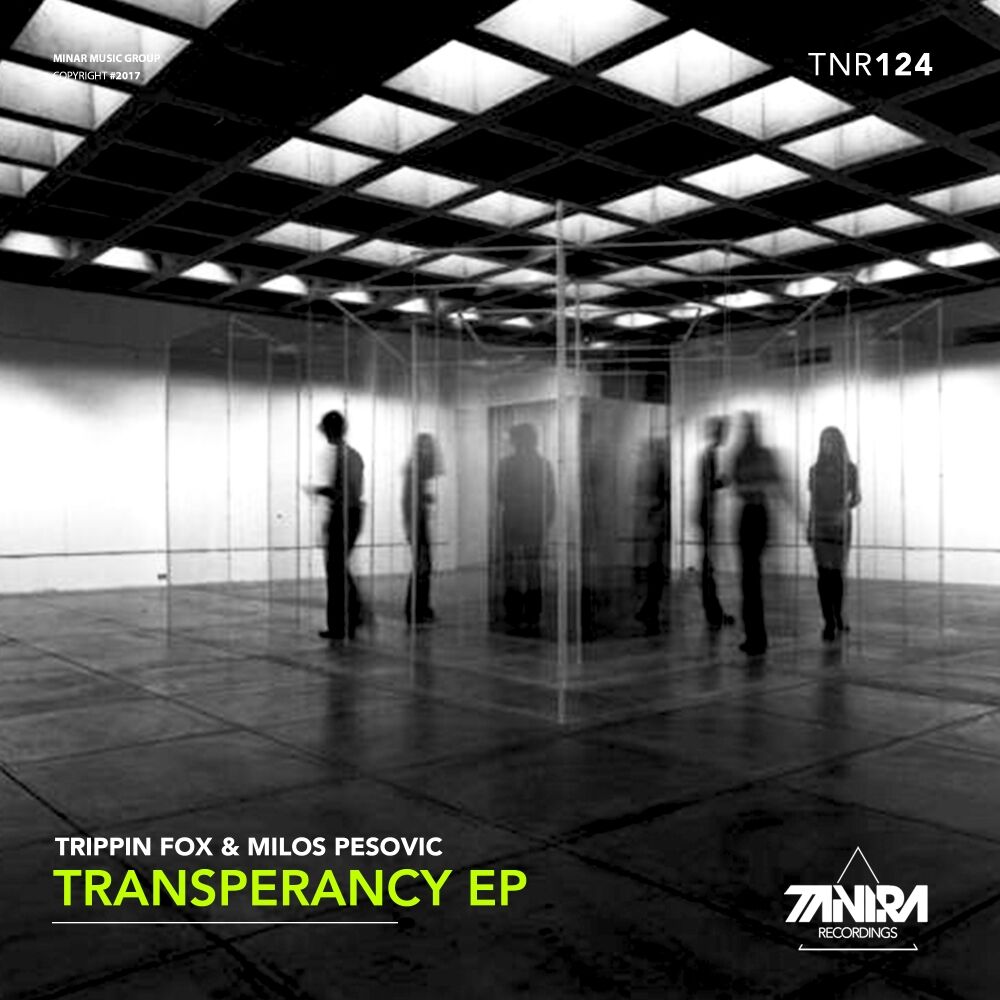 Picture of Transperancy EP