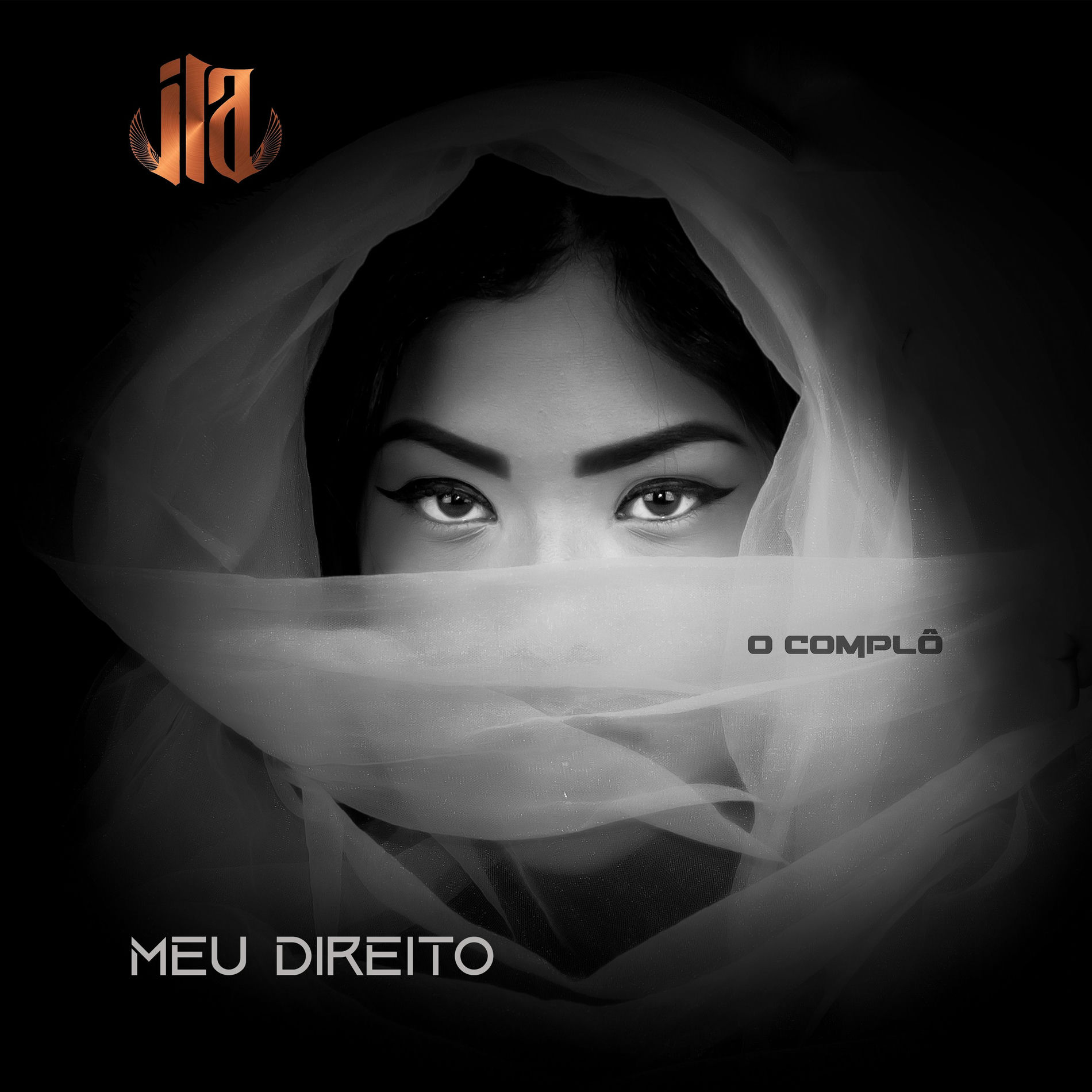 Album cover of Meu Direito