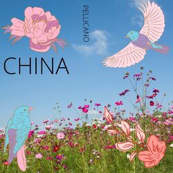 Cover of China