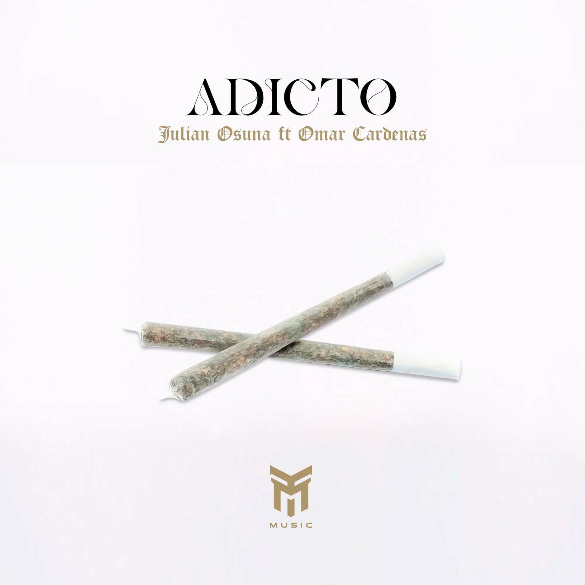 Album cover of Adicto