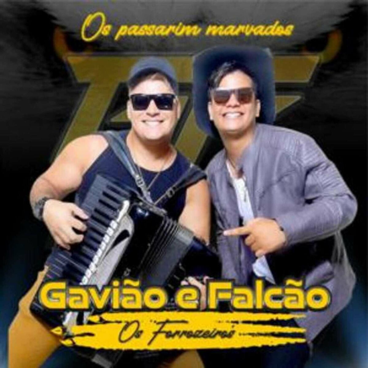 Album cover of Os Passarim Marvados