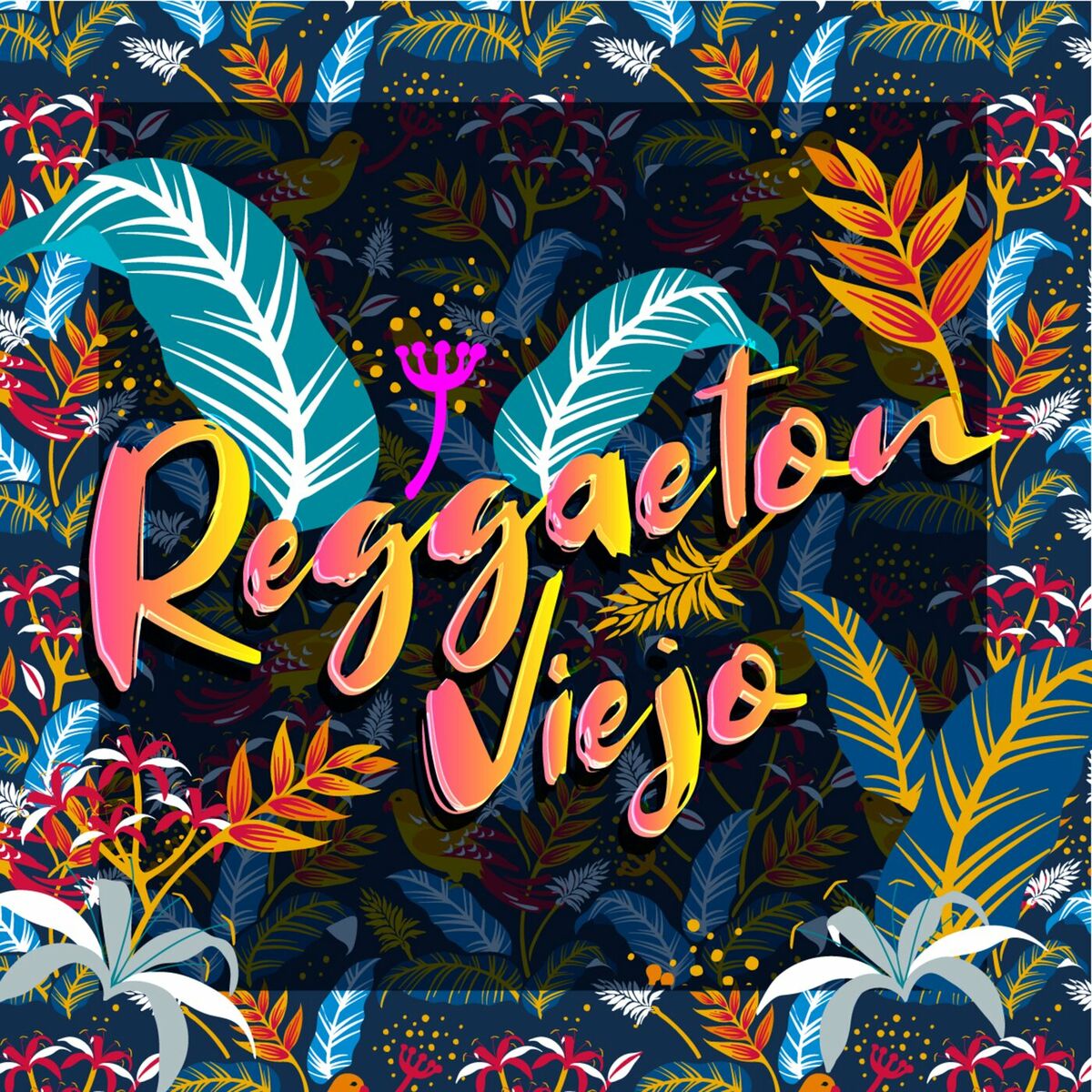 Album picture of Reggaeton Viejo