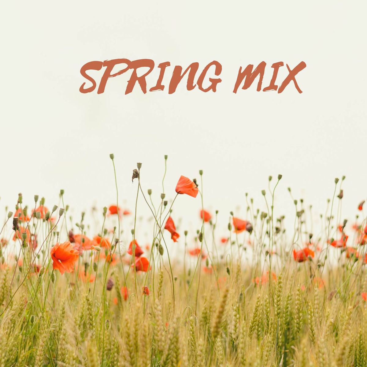 Album cover of Spring Mix