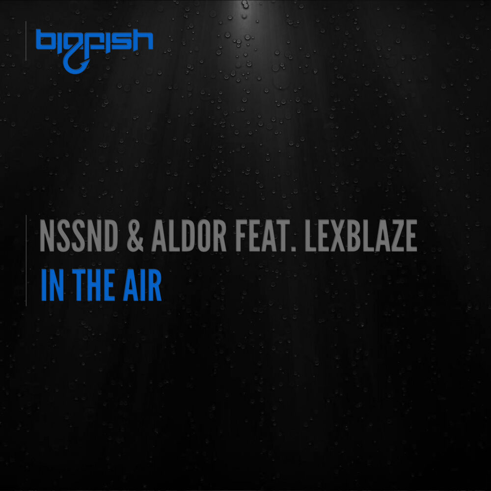 Picture of In The Air