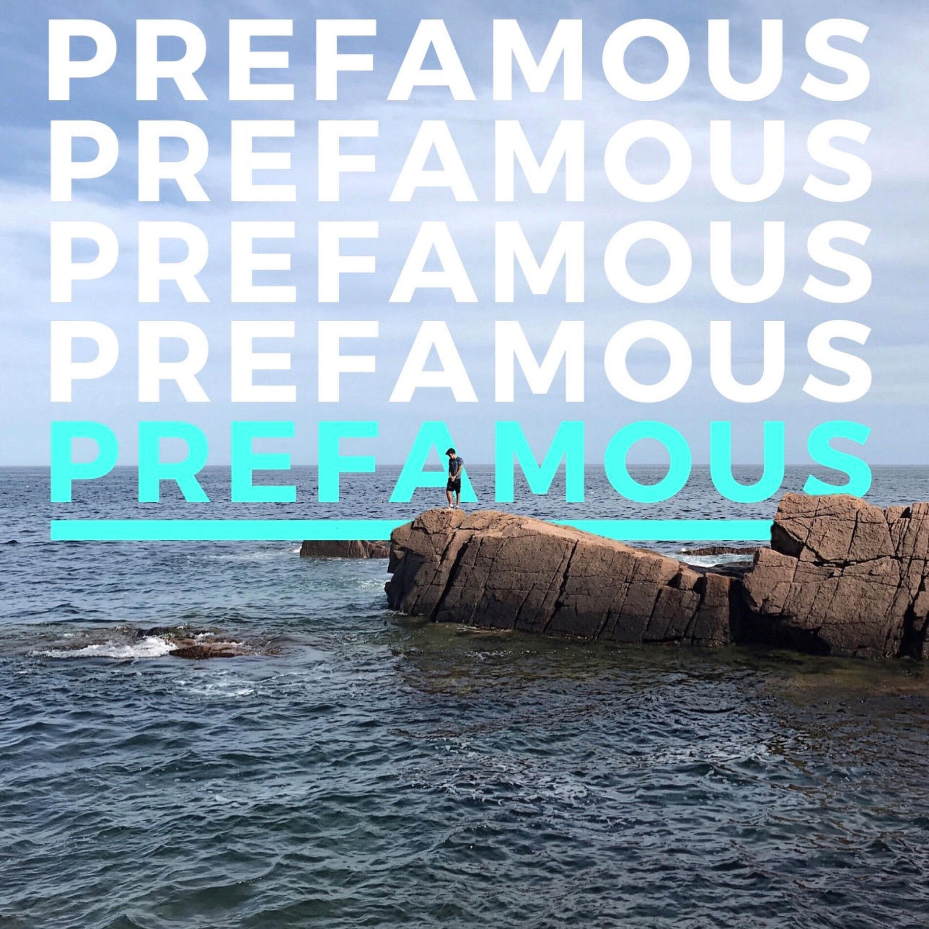 Album cover of Prefamous
