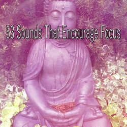Cover of 53 Sounds That Encourage Focus