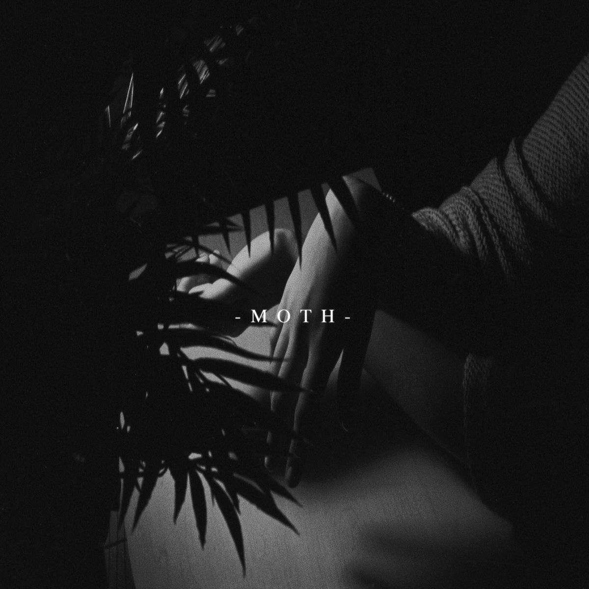 Album cover of Moth