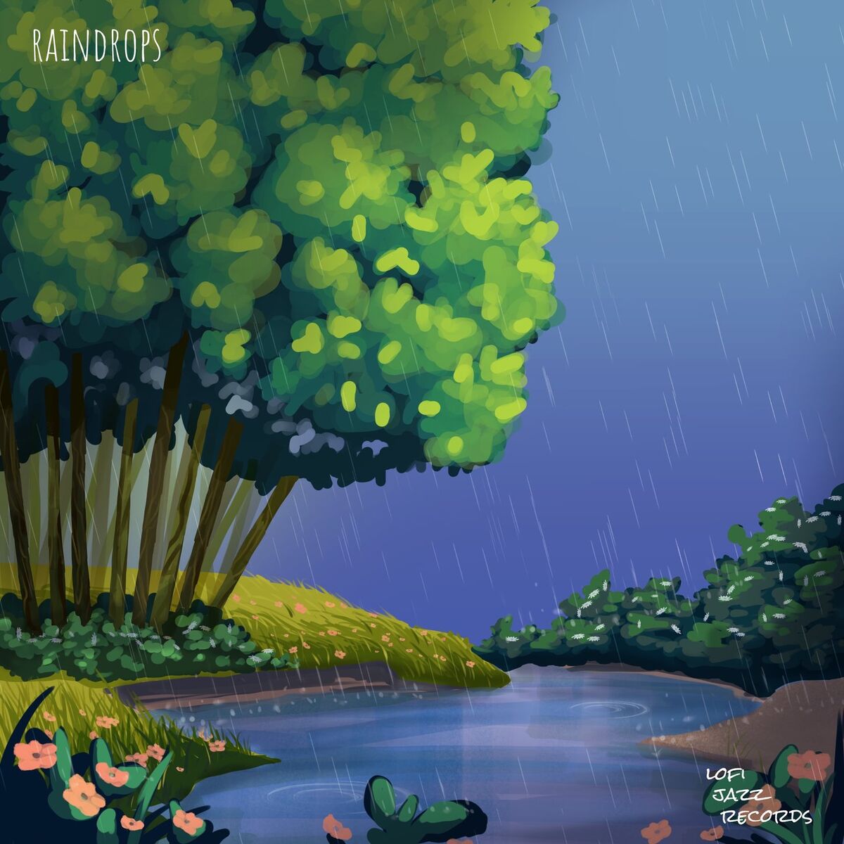 Album cover of raindrops