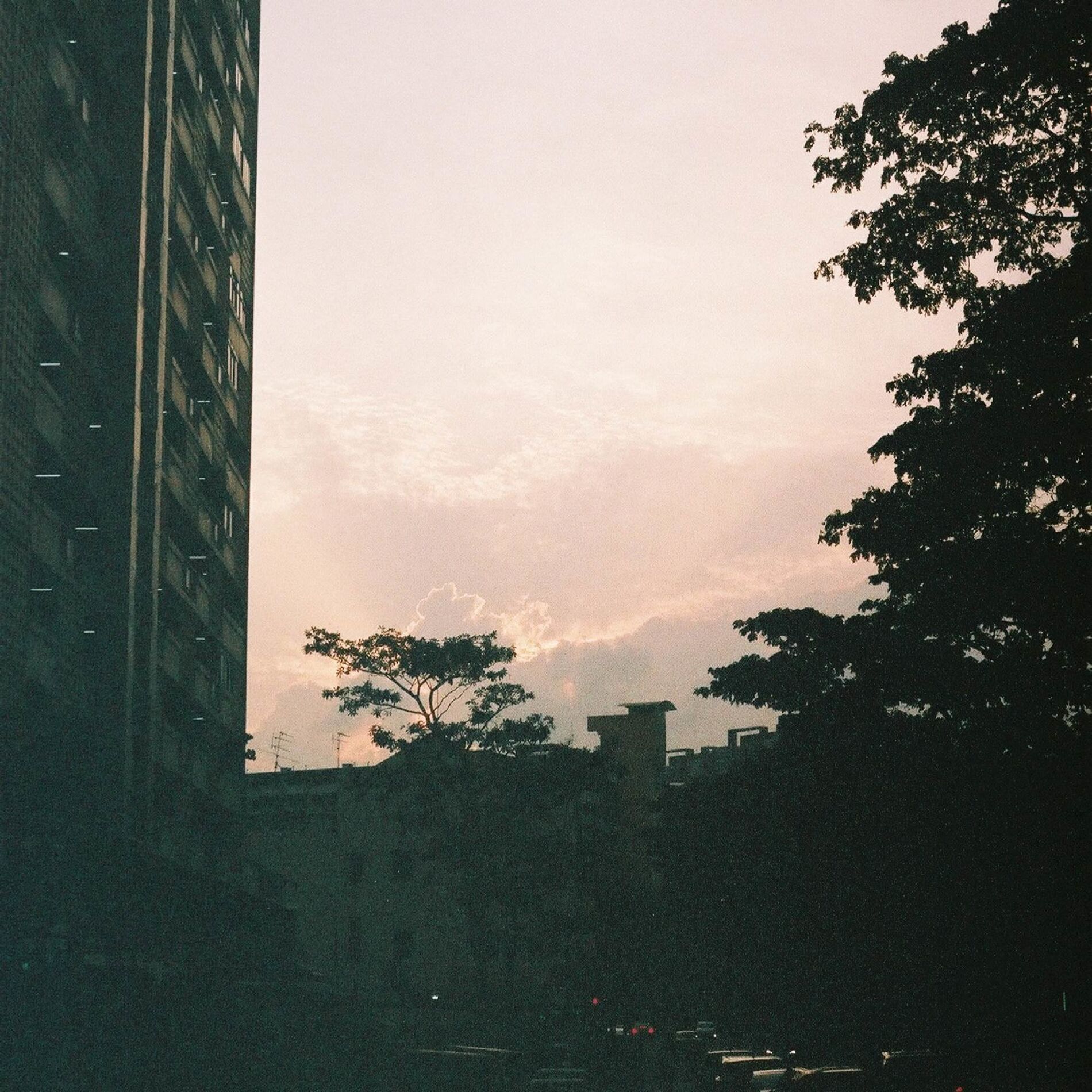 Album cover of Piano Collection, Vol. 12