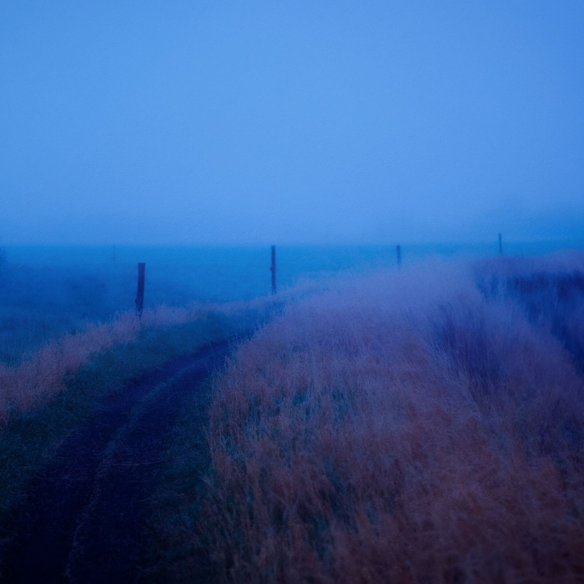 Album cover of Lost