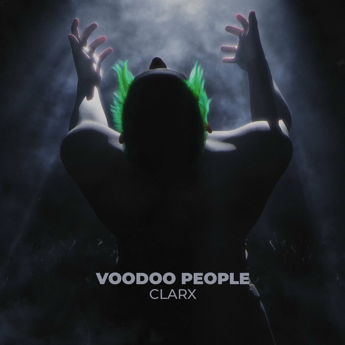 Album cover of Voodoo People