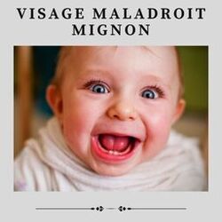 Cover of Visage Maladroit Mignon
