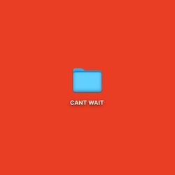Cover of CANT WAIT