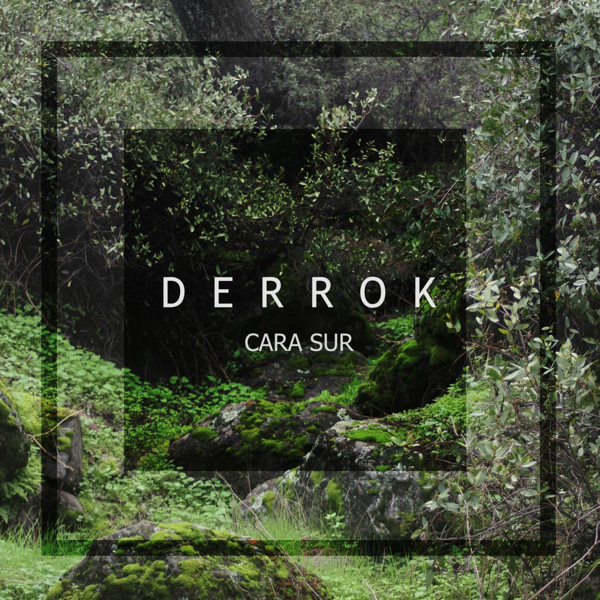 Album cover of Cara Sur