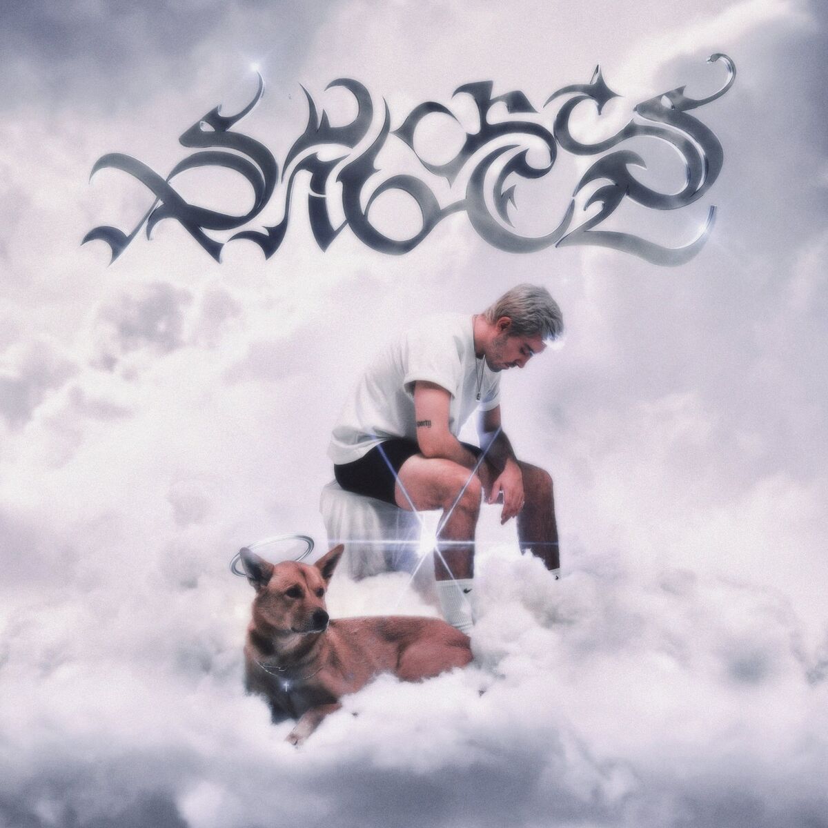 Album cover of Sportsangel