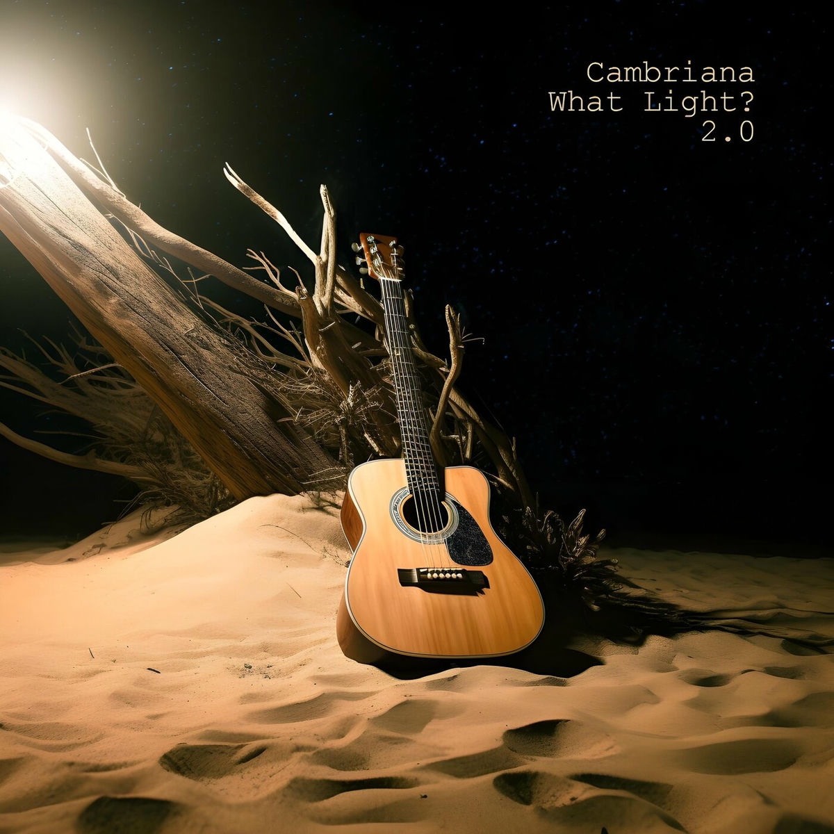 Album cover of What Light? 2.0