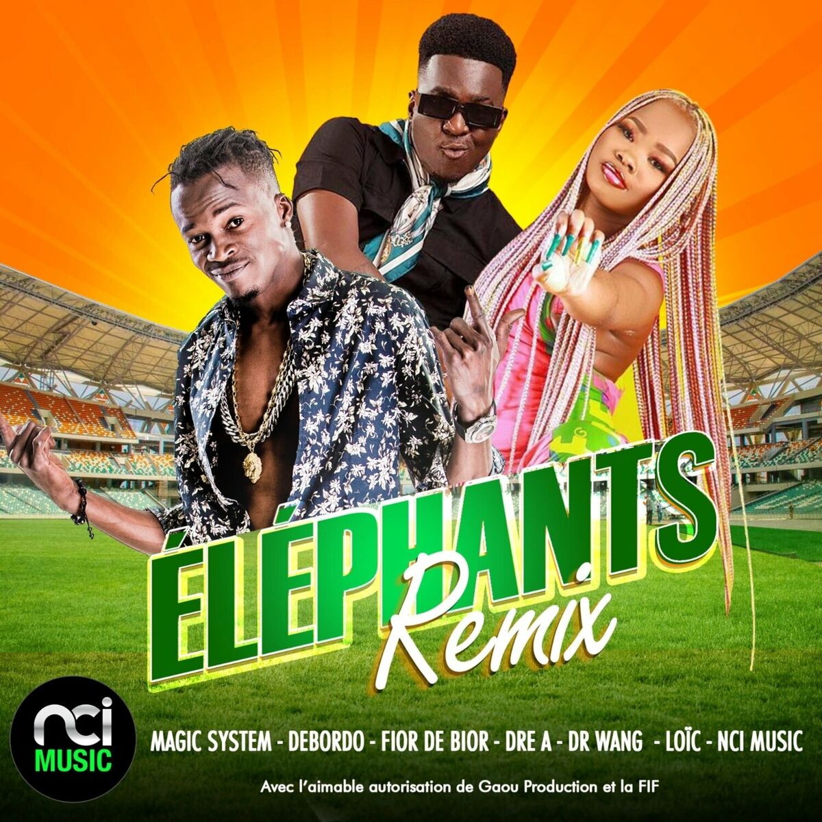 Album cover of Eléphants