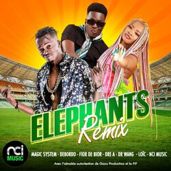 Cover of Eléphants remix