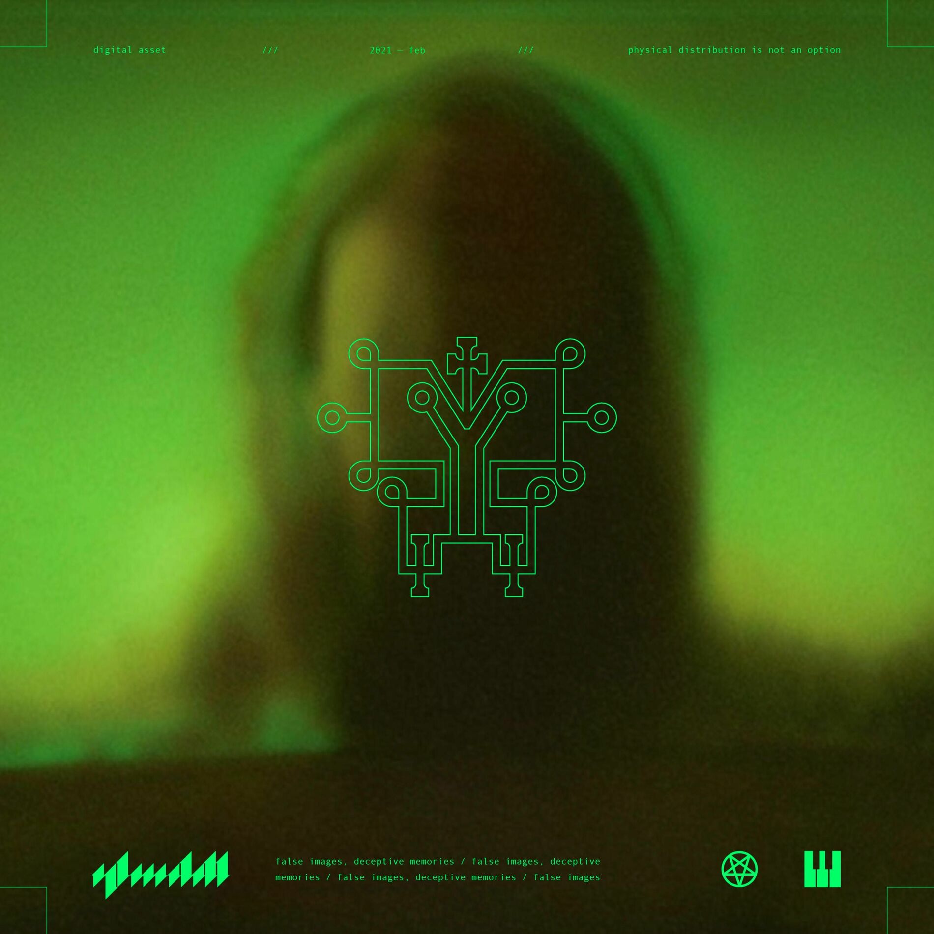 Album cover of False Images, Deceptive Memories