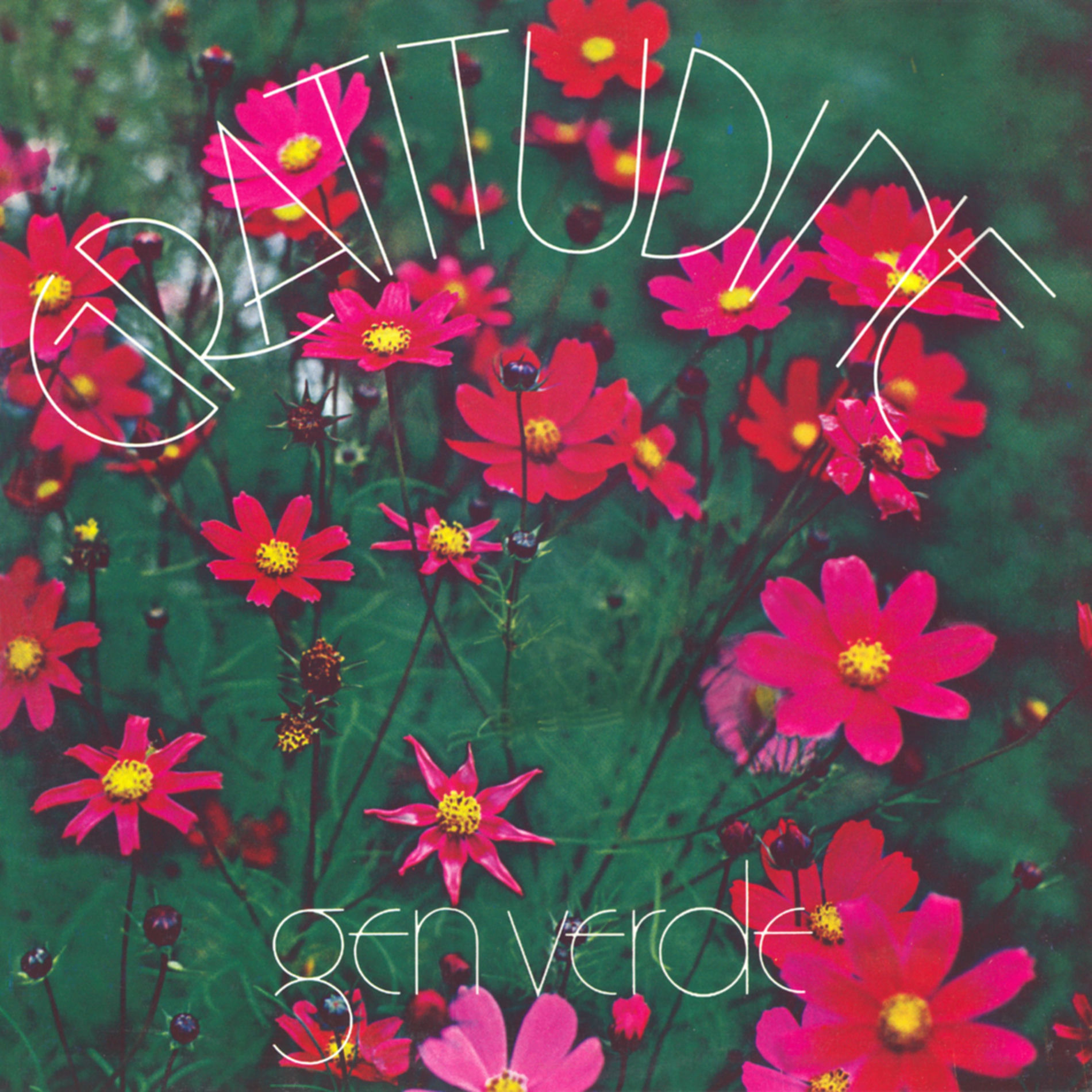 Album cover of Gratitudine