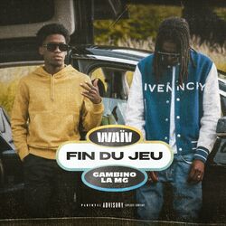 Cover of Fin du jeu
