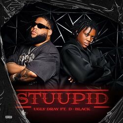 Cover of STUUPID