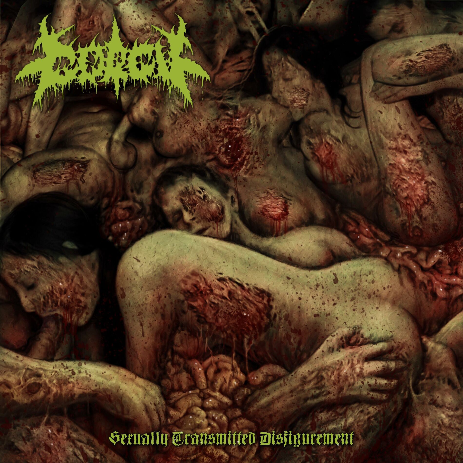 Album cover of Sexually Transmitted Disfigurement