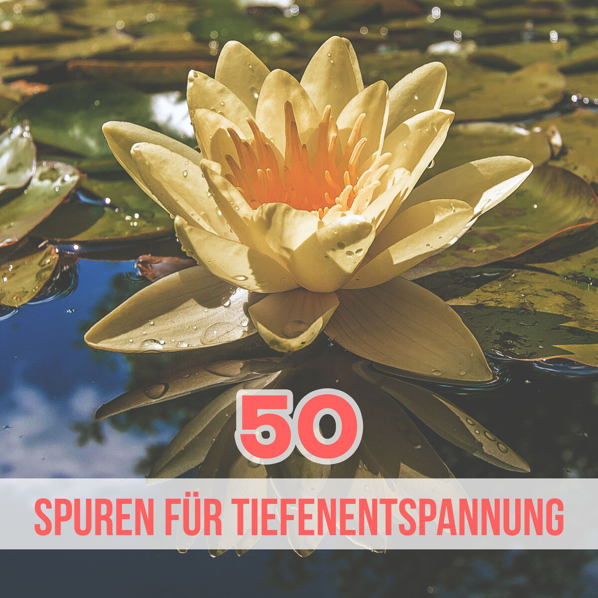 Album cover of 50 Spuren für Tiefenentspannung: Sanfte Wassergeräusche & Naturgeräusche für Reiki - Ruhige Entspannungsmusik für Wellness, Spa, Y