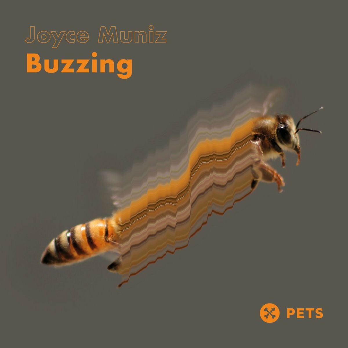 Album cover of Dressed In Secrets