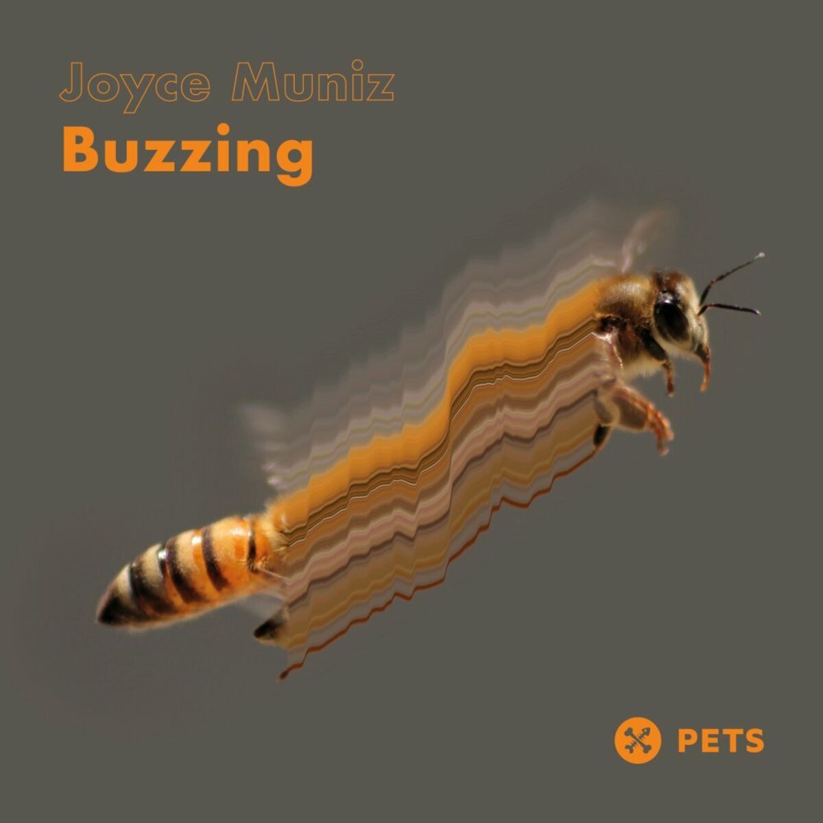 Album cover of Buzzing EP