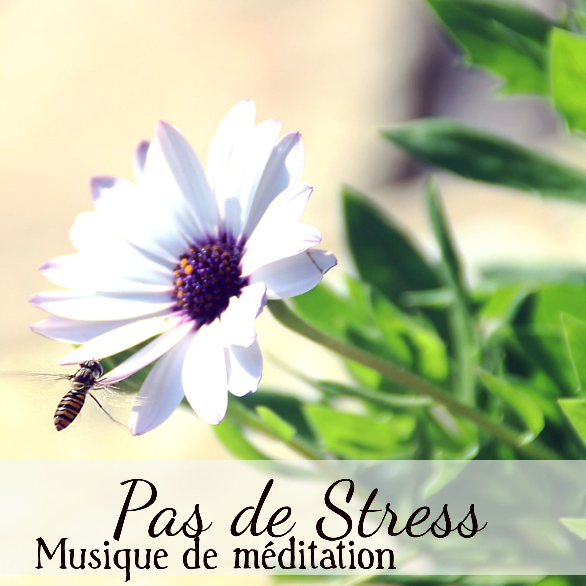 Album cover of Pas de Stress - Musique de méditation pour technique de relaxation apprendre à se concentrer cours de yoga avec sons de guérison n