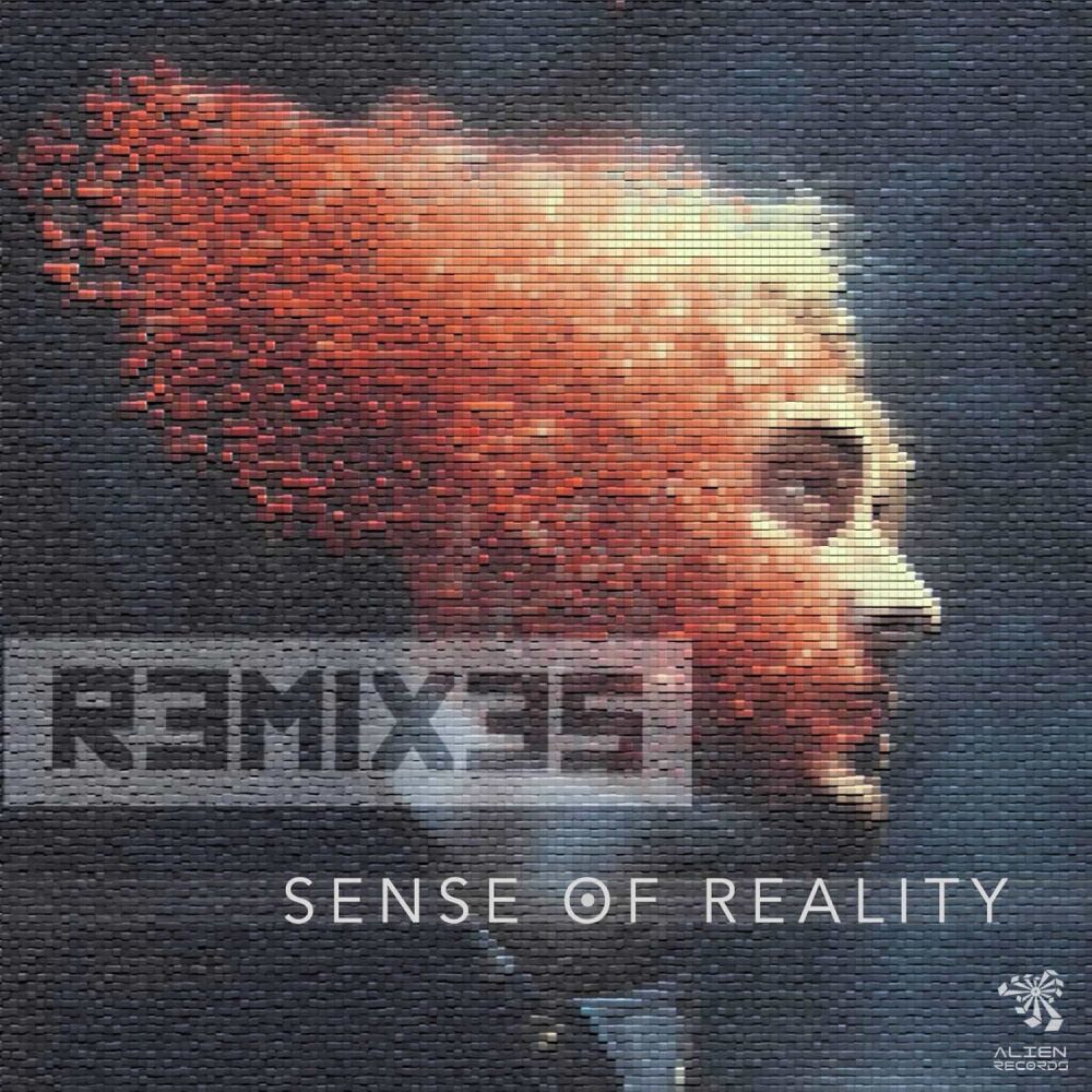 Picture of Sense of Reality Remixes