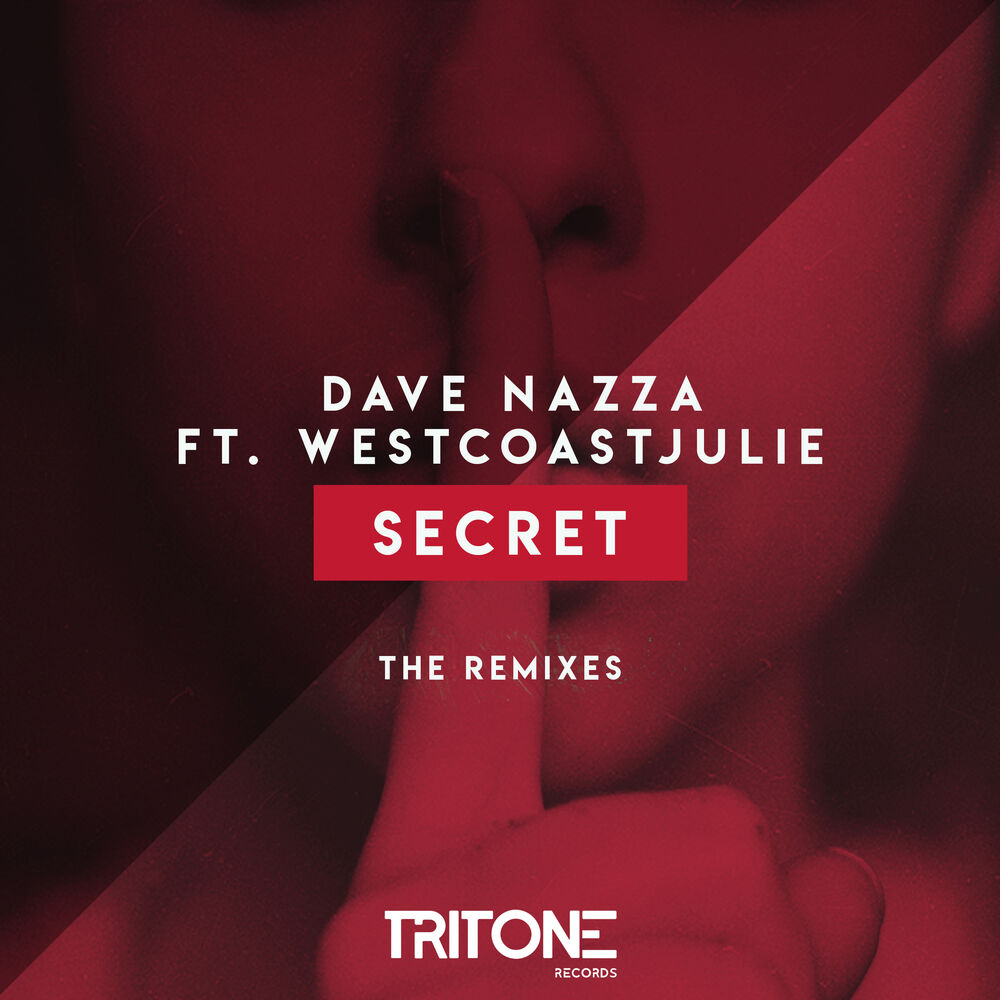 Picture of Secret (FroZz & Gueaster Remix)