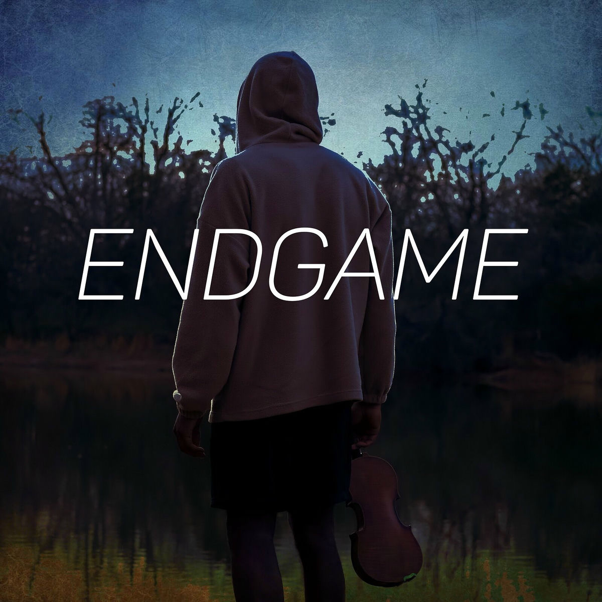 Album cover of Endgame