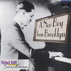Cover of A Nice Boy From Brooklyn