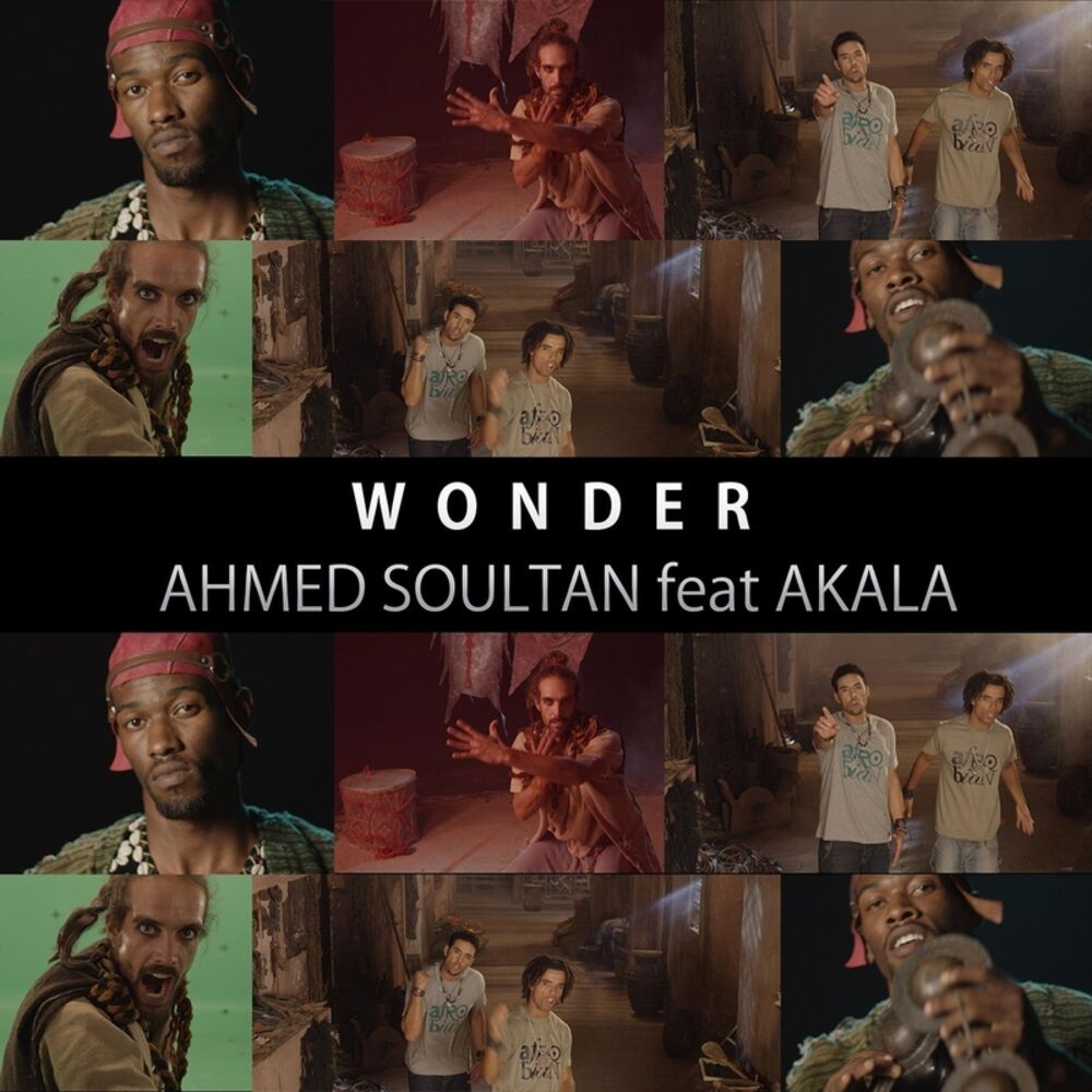 Picture of Wonder