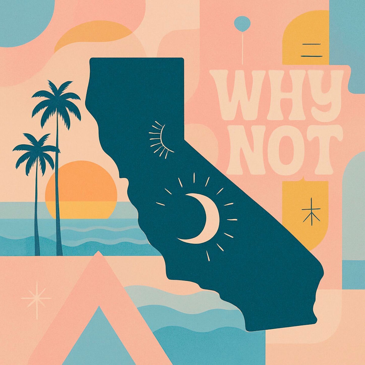 Album cover of Why Not