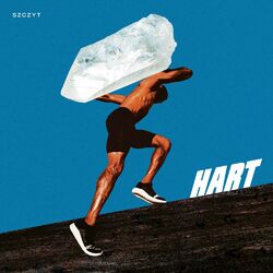 Cover of Szczyt