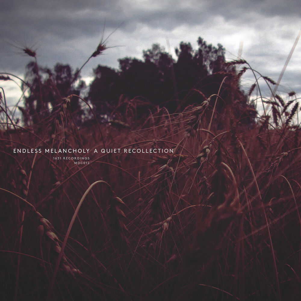 Picture of A Quiet Recollection