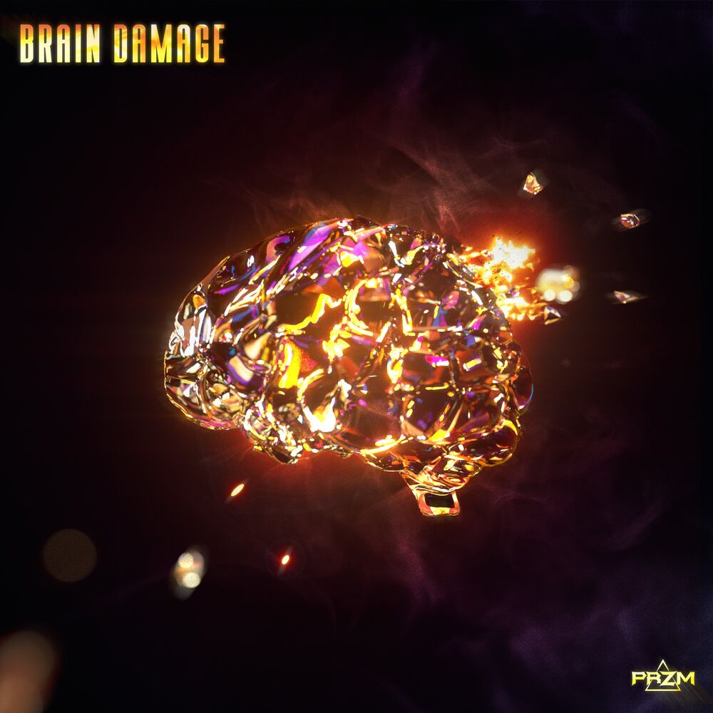 Picture of Brain Damage