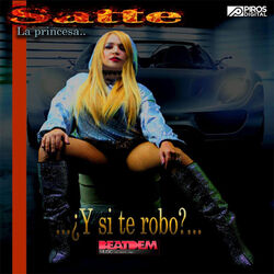 Cover of ¿Y Si Te Robo?