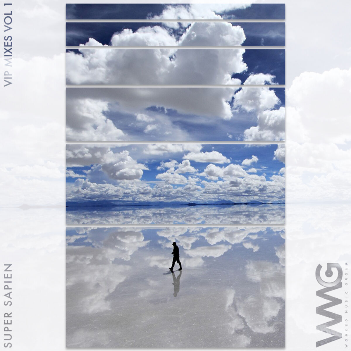 Album cover of VIP Mixes, Vol. 1