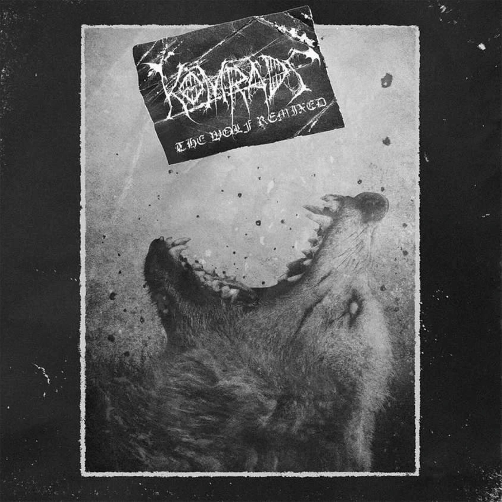 Album cover of The Wolf Remixed