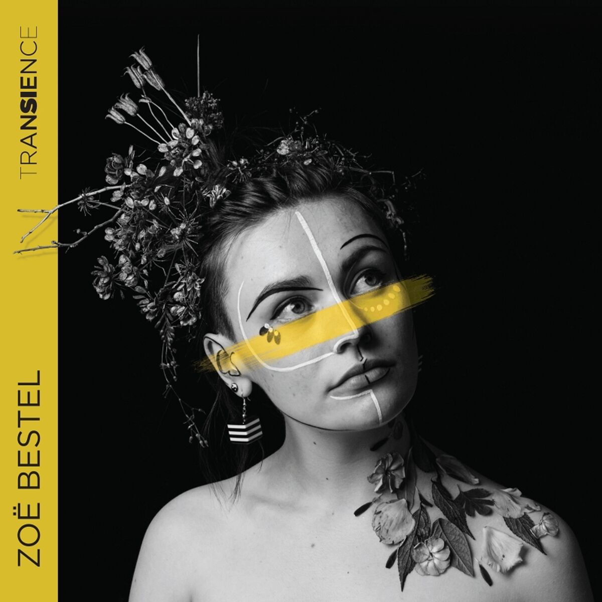 Album cover of Transience